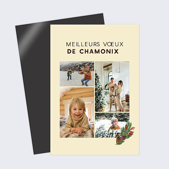 Carte Postale Essence d'Hiver