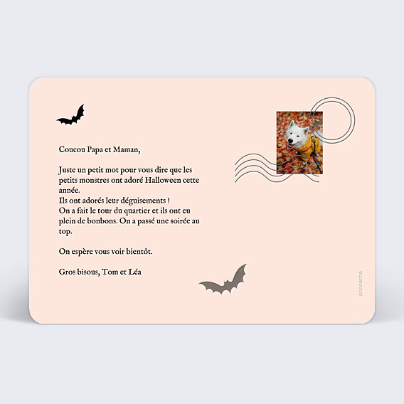 Carte Postale Chauve-souris