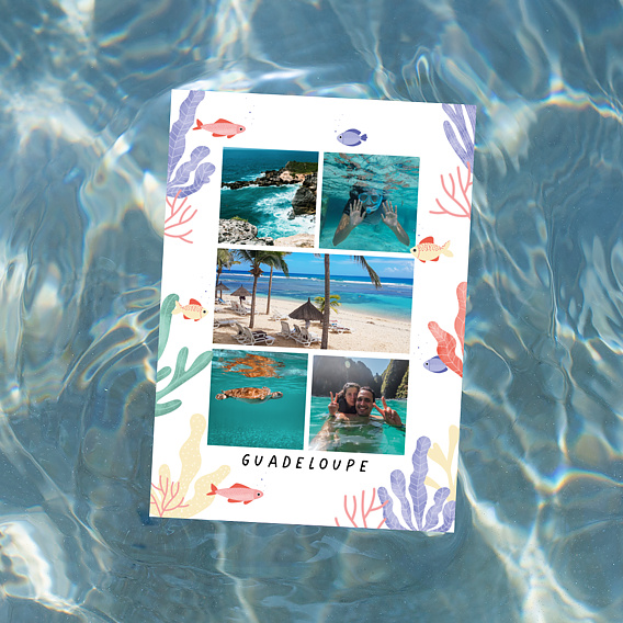 Carte Postale Aquatique