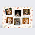 Carte Postale Feuilles d’Automne