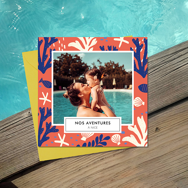 Carte Postale Coquillages