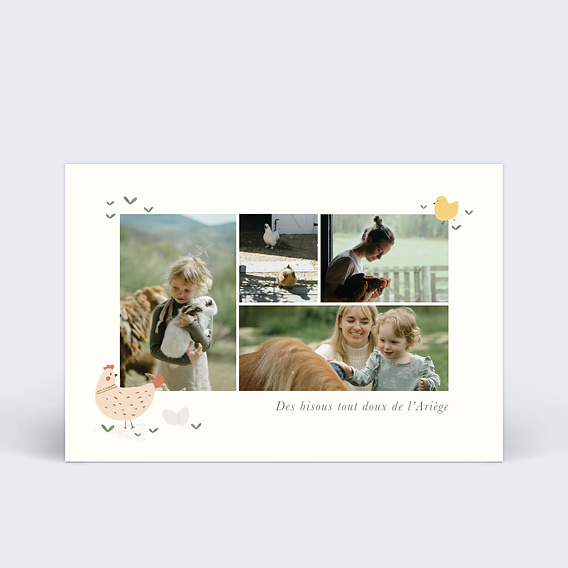 Carte Postale Animaux Campagne