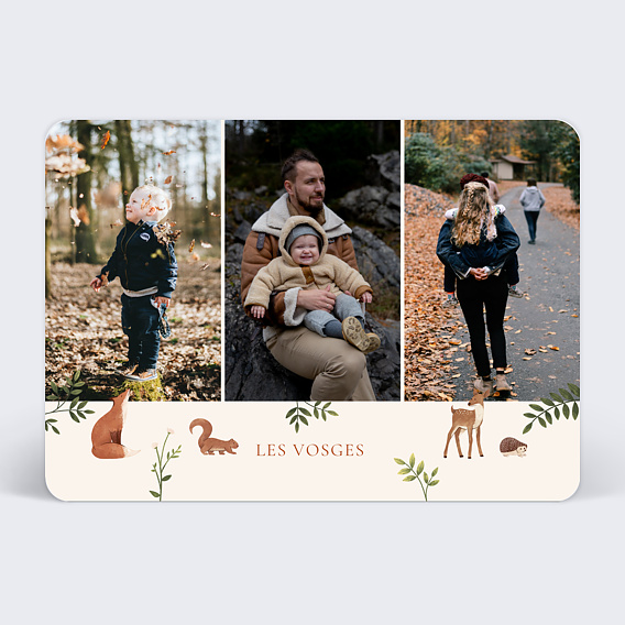 Carte postale Automne animaux Recto