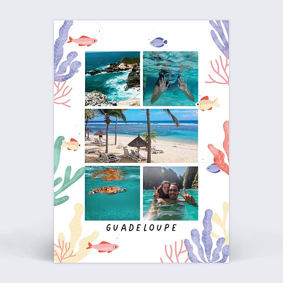 Carte postale Aquatique