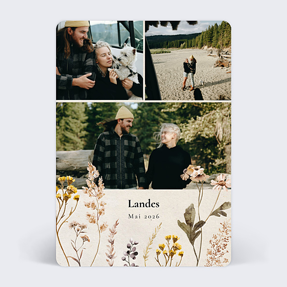 Carte postale Fleurs des Champs