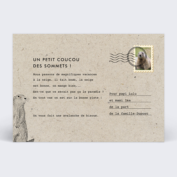 Carte Postale Marmotte Verso