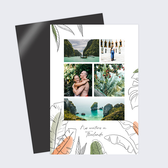 Carte postale Jungle