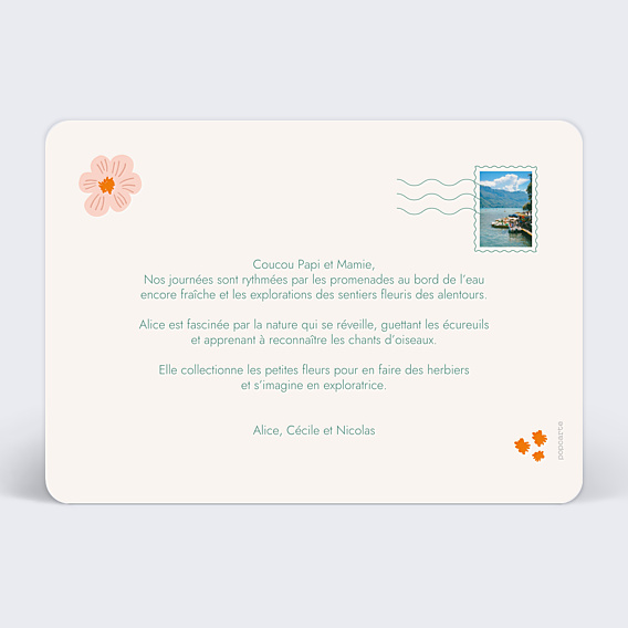 Carte Postale Parterre de Fleurs