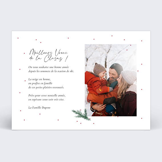 Carte Postale Branche de Pin