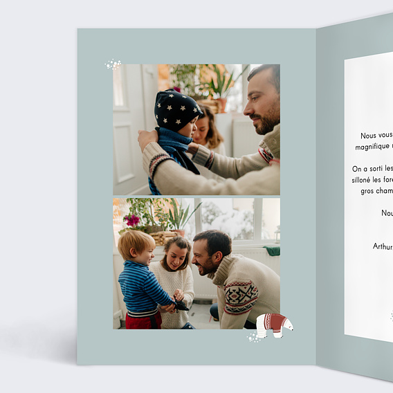 Carte postale Alaska Intérieur Gauche