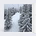 Carte Postale Hiver Chic