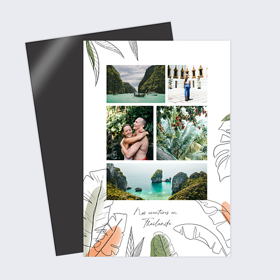 Carte Postale Jungle