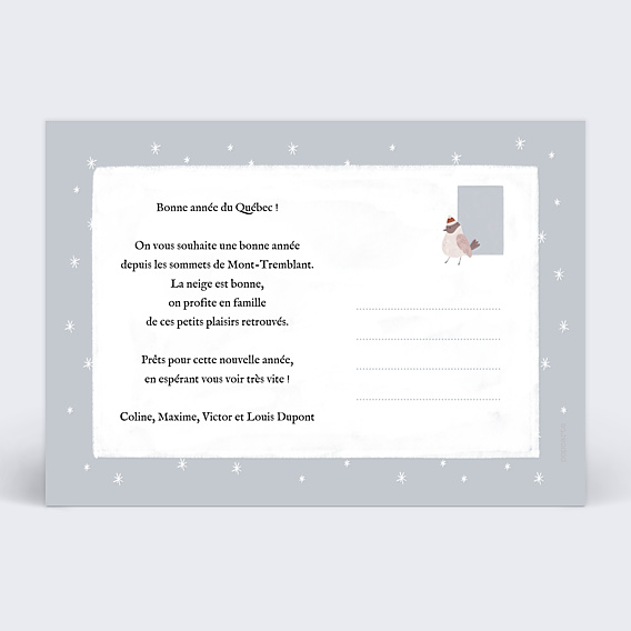 Carte Postale Petits Chalets