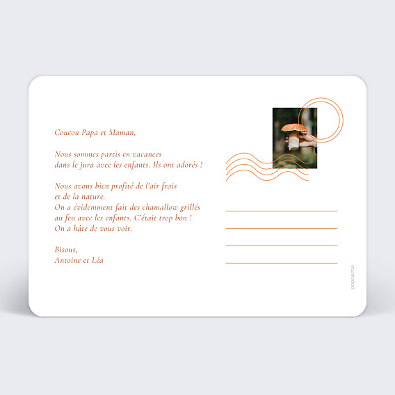 Carte postale Citrouille centrale Verso