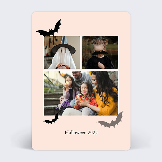 Carte postale Chauve-souris Recto