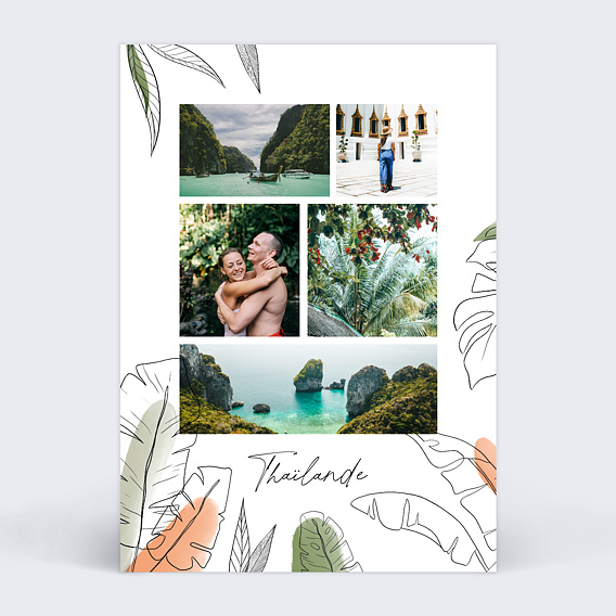 Carte postale Jungle Recto