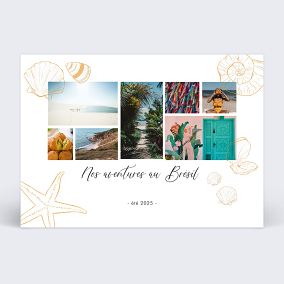 Carte postale Pêche aux Coquillages Recto