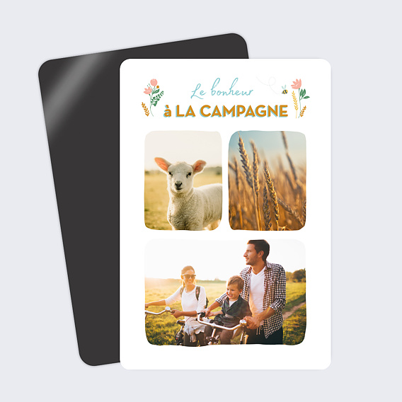 Carte postale Campagne