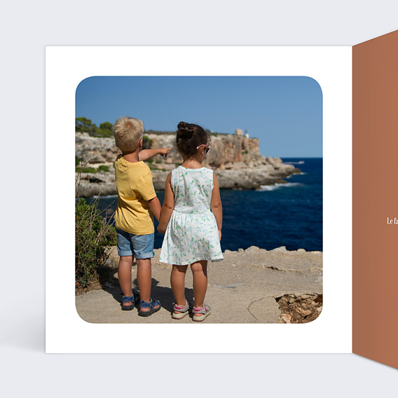 Carte postale Pêle-Mêle Camargue Intérieur Gauche