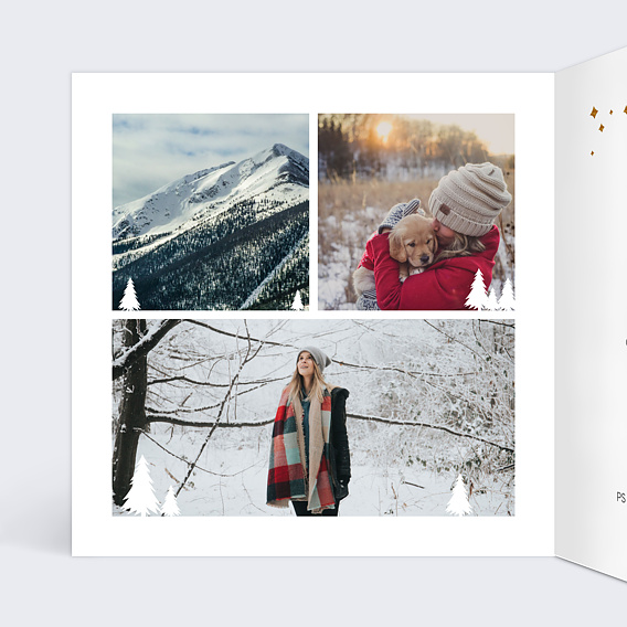 Carte postale Hiver Cadre Photo Sapins Intérieur Gauche