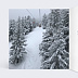 Carte postale Hiver Chic Intérieur Gauche