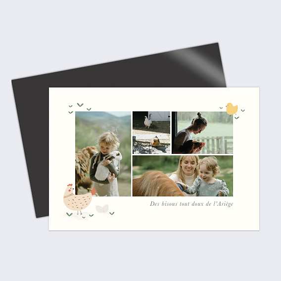 Carte postale Animaux Campagne