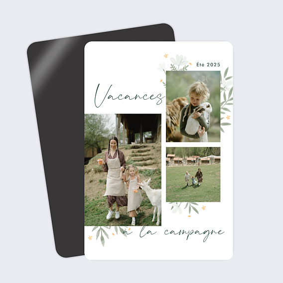 Carte postale Campagne Fleurie