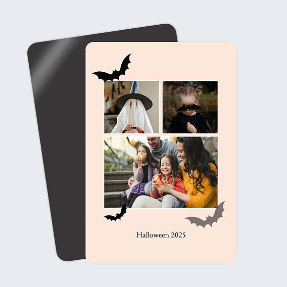 Carte postale Chauve-souris