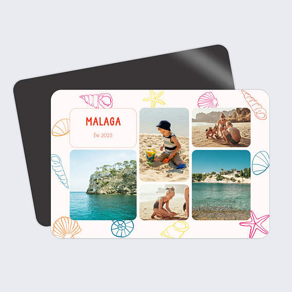 Carte postale Coquillages Colorés