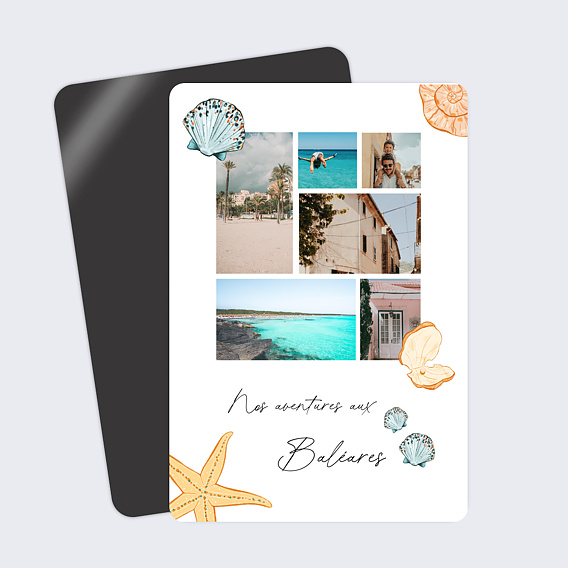 Carte postale Coquillages Nacrés