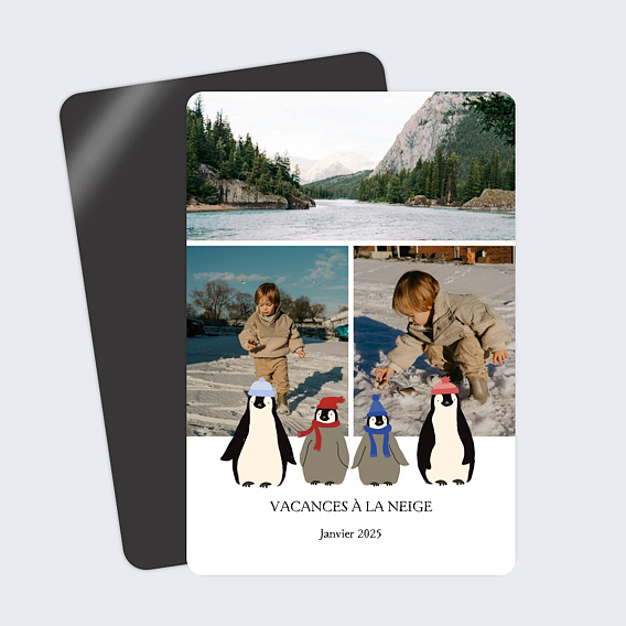 Carte postale Famille Pingouins