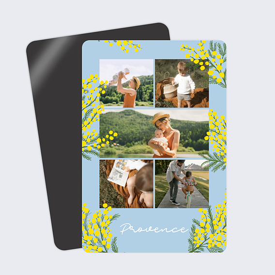 Carte postale Mimosa du Sud