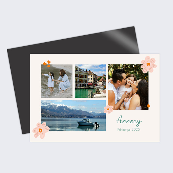 Carte postale Parterre de Fleurs