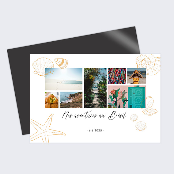 Carte postale Pêche aux Coquillages