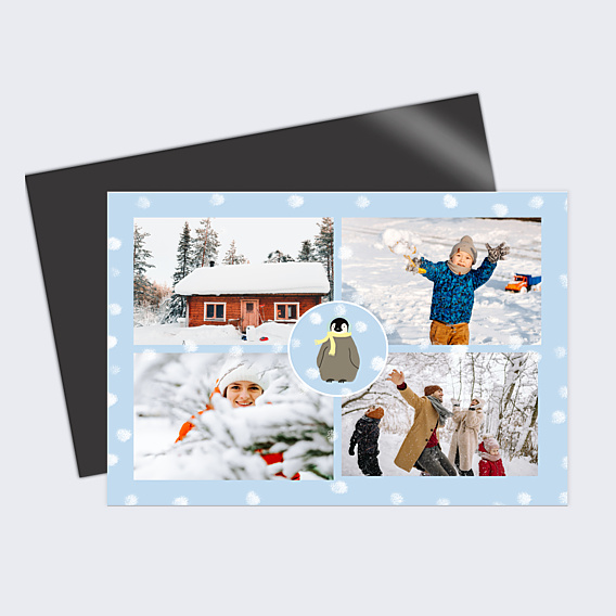Carte Postale Pingouin Enneigé
