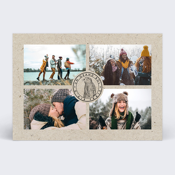 Carte postale Marmotte Recto