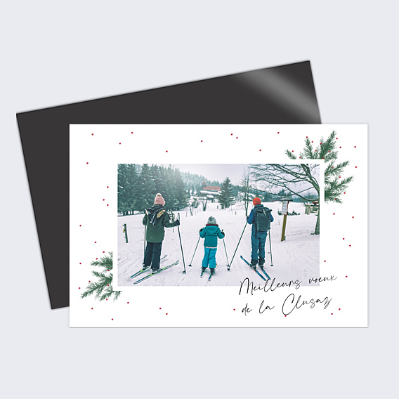 Carte Postale Branche de Pin