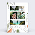 Carte Postale Jungle