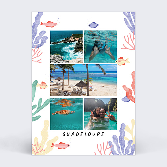 Carte Postale Aquatique