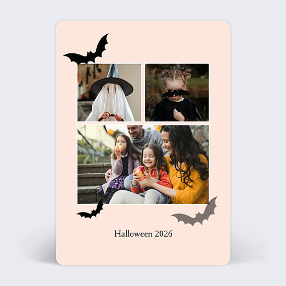 Carte Postale Chauve-souris