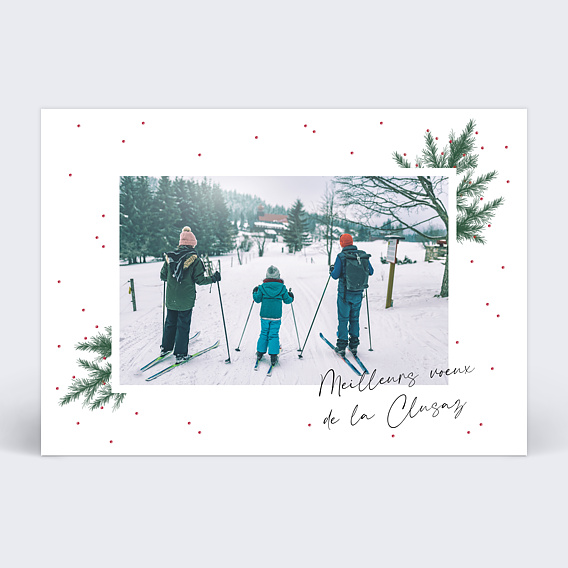 Carte postale Branche de Pin Recto