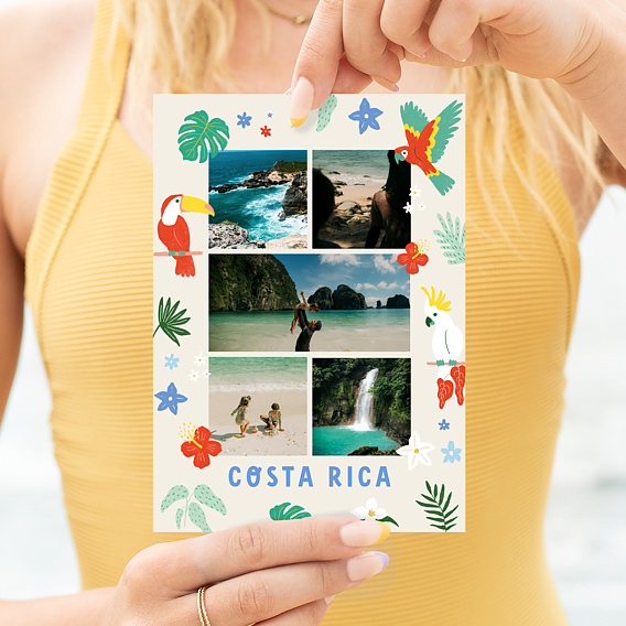 Carte postale Animaux de la Jungle Après 1