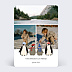 Carte postale Famille Pingouins