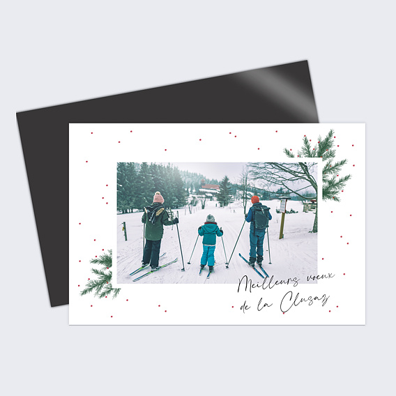 Carte postale Branche de Pin