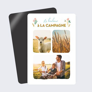 Carte Postale Campagne