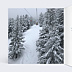 Carte Postale Hiver Chic