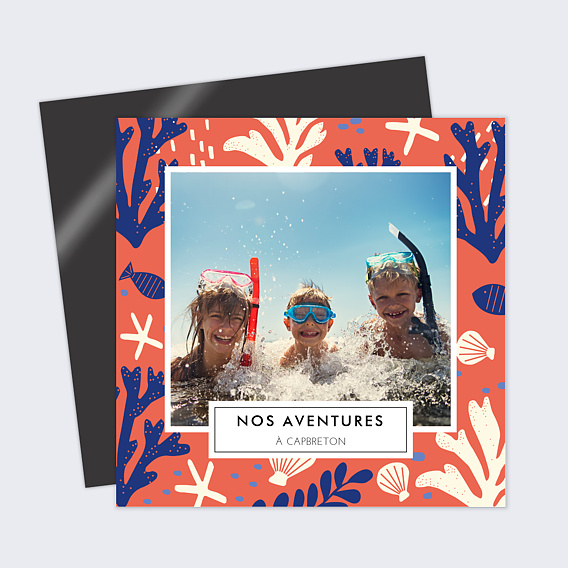 Carte postale Coquillages