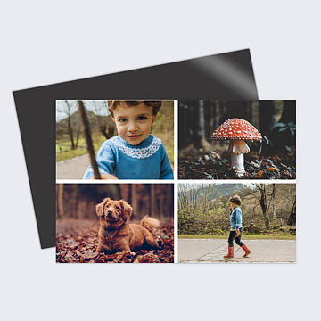 Carte Postale Multiphotos 4 Photos Automne