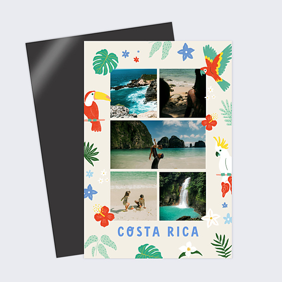Carte Postale Animaux de la Jungle