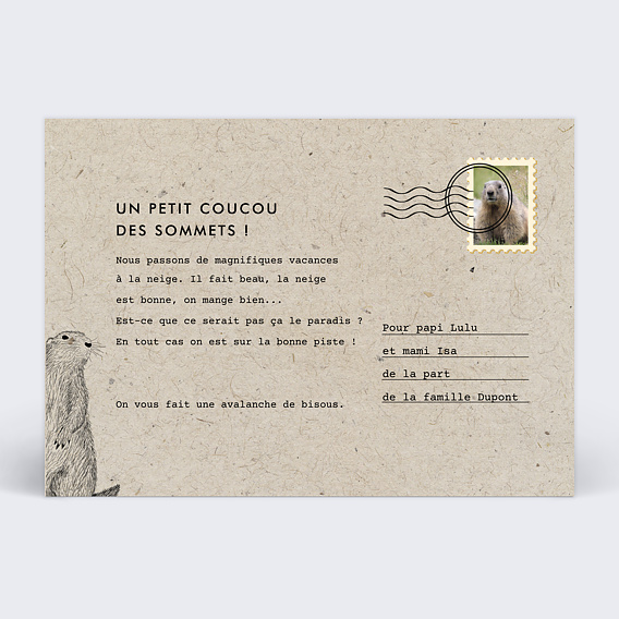 Carte postale Marmotte Verso